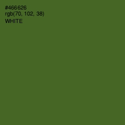 #466626 - Chalet Green Color Image